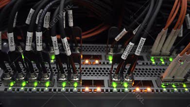 Many optical patchcards in the data center server room. Telecommunications cables