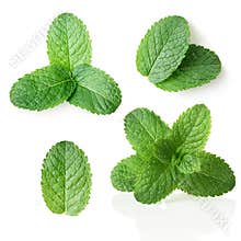 Mint