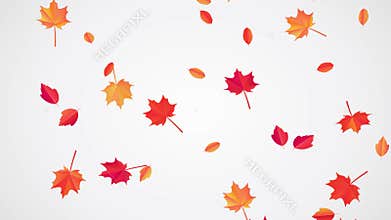 Falling Autumn Leaves animation.