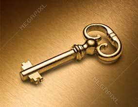 Golden Key On Gold