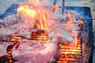 Summer nature grill bbq meat,  picnic family