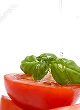 Basil, drop of oil and tomatoes