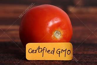 Certified gmo