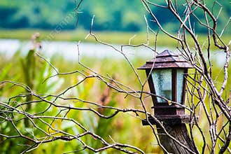 Lantern in nature for concept alone or horor