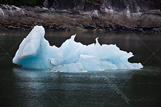 Icebergs