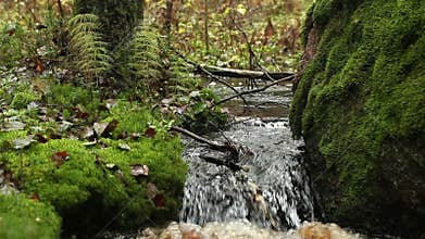 Small waterfall on a creek