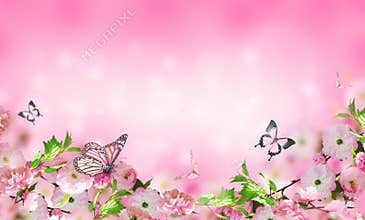 Flowers background