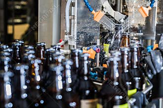Bottles washing on conveyor
