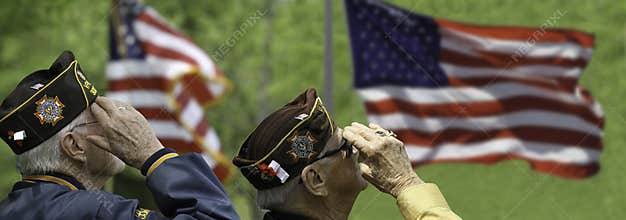 Veterans Saluting at a Ceremony
