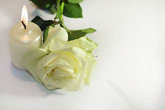 White rose with the candle close up