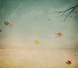 Warm Autumn