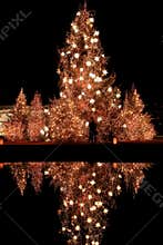 The Christmas Kiss