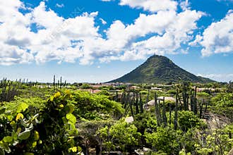 Cacti and boulders in front of Hooiberg, Aruba
