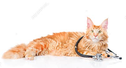 Maine coon cat with a stethoscope. isolated on white background