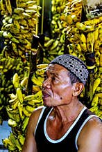 A bananas seller at traditional market.