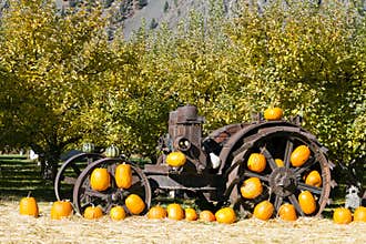 Farm Equipment Keremeos Orchard