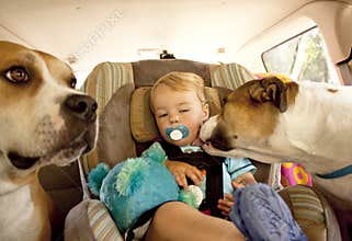 Precious Cargo