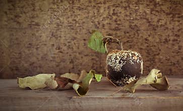 Old mold apple and dried leaves