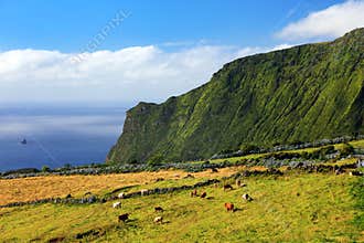 Summer landscape on Flores Island