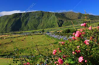 Summer landscape on Flores Island