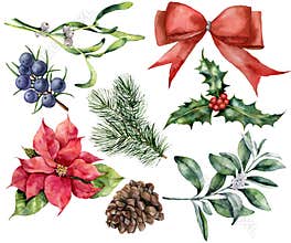 Watercolor Christmas decor set with plant. Hand painted red ribbon, poinsettia, holly, mistletoe, pine cone, juniper and