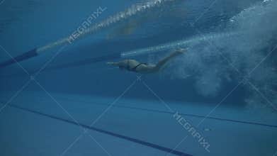 Woman swimmer dive in water pool at start. Swimmer jump at deep water pool