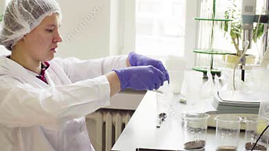 The scientist in laboratory weighing soil sample