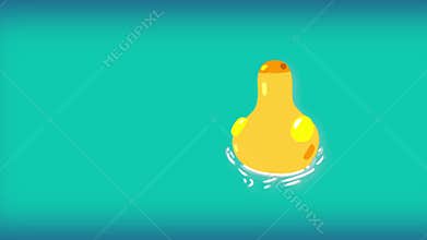 Swimming golden duck loop. Alpha channel.