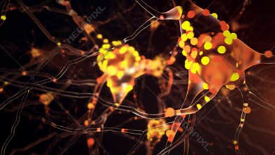 4K Neuronal Activity.