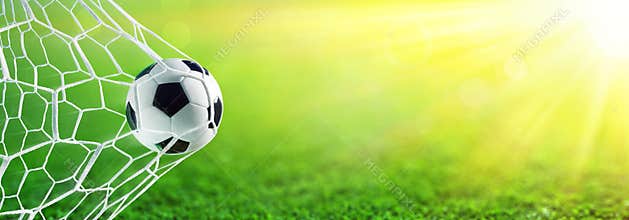 Soccer Ball In Goal