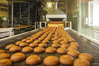 Automatic bakery production line with sweet cookies on conveyor belt equipment machinery in confectionary factory workshop