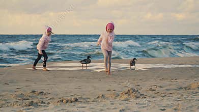 Two adorable little girls are running and feeding ducks on a sandy beach