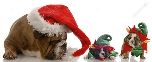 Santa and his little helpers