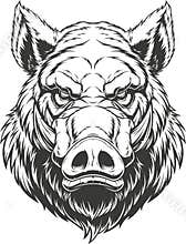 Head ferocious boar
