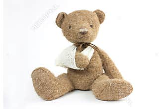 Bear broken arm