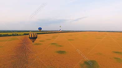 Air balloons flying over wheat fields, national amenities of nature, patriotism