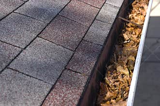 Leaves in Gutter, Home Maintenance and Repair