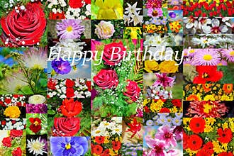 Happy Birthday flowers collage postcard