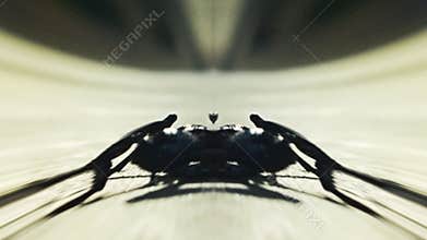 Bizarre scorpion approaching