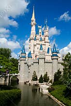 Disney Castle
