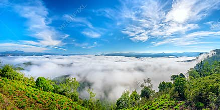 Landscape morning fog covered the valley