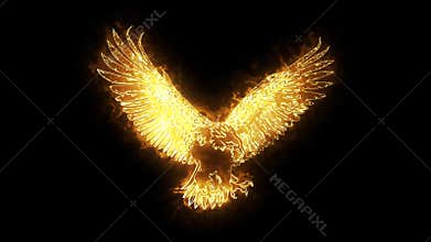 Gold burning eagle animated logo loopable graphic element