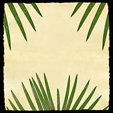 Aged paper with leaf texture