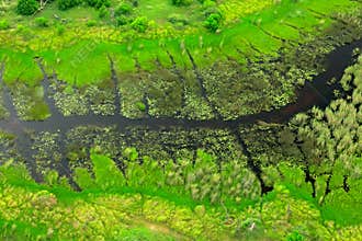 Dark river, aerial landscape in Okavango delta, Botswana. Lakes and rivers, view from airplane, UNESCO World Heritage site in Sout