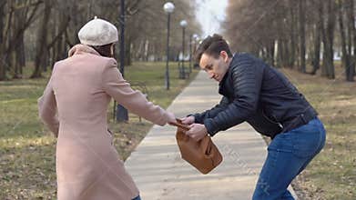 Man steals a woman`s bag from a bench in the park