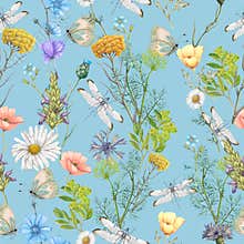 Seamless pattern of summer wildflowers