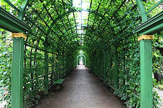 Avenue under arches with green plants