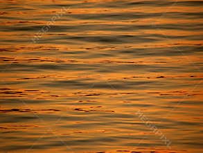 Golden sunset reflection on sea