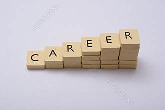 Career abstract