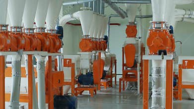 Modern automated gristmill for flour manufacturing
